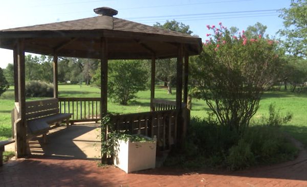 Wooden gazebo at Lubbock Memorial Arboretum surrounded by greenery and blooming shrubs, highlighting need for community volunteers after vandalism incident.
