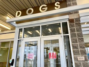 Entrance to the Lubbock Animal Services adoption center with large “DOGS” sign above the doors.