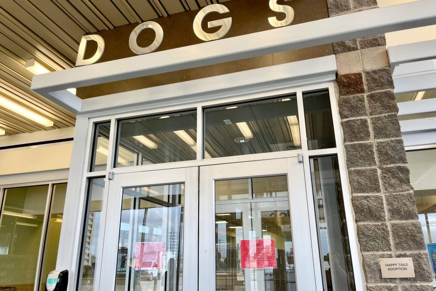 Entrance to the Lubbock Animal Services adoption center with large “DOGS” sign above the doors.