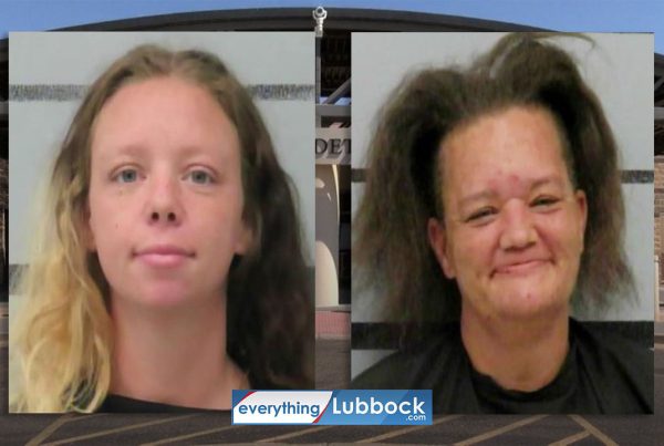 Mugshots of Megan Nicole Beaudry and Holly Kay Smith, arrested in Slaton for child endangerment, animal cruelty, and trespassing.