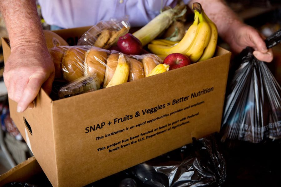 A person holding a cardboard box filled with groceries such as bananas, apples, corn, and bread labeled “SNAP + Fruits & Veggies = Better Nutrition,” symbolizing food assistance and nutrition support in Texas.