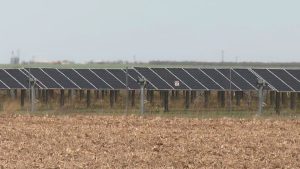 Rows of solar panels installed in a large open field at the Swenson Ranch Solar project site in West Texas.