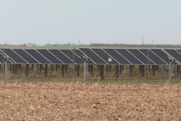 Rows of solar panels installed in a large open field at the Swenson Ranch Solar project site in West Texas.