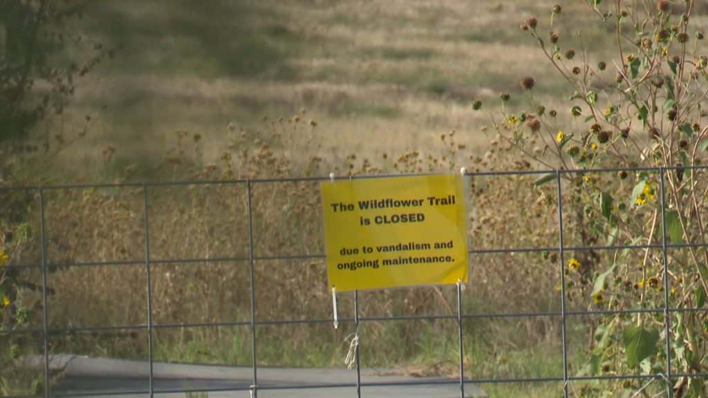 Yellow sign on a metal gate reading “The Wildflower Trail is CLOSED due to vandalism and ongoing maintenance” at Lubbock Lake Landmark, with dried wildflowers and grass in the background.