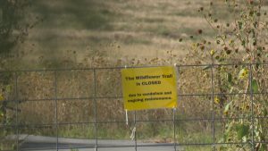 Yellow sign on a metal gate reading “The Wildflower Trail is CLOSED due to vandalism and ongoing maintenance” at Lubbock Lake Landmark, with dried wildflowers and grass in the background.