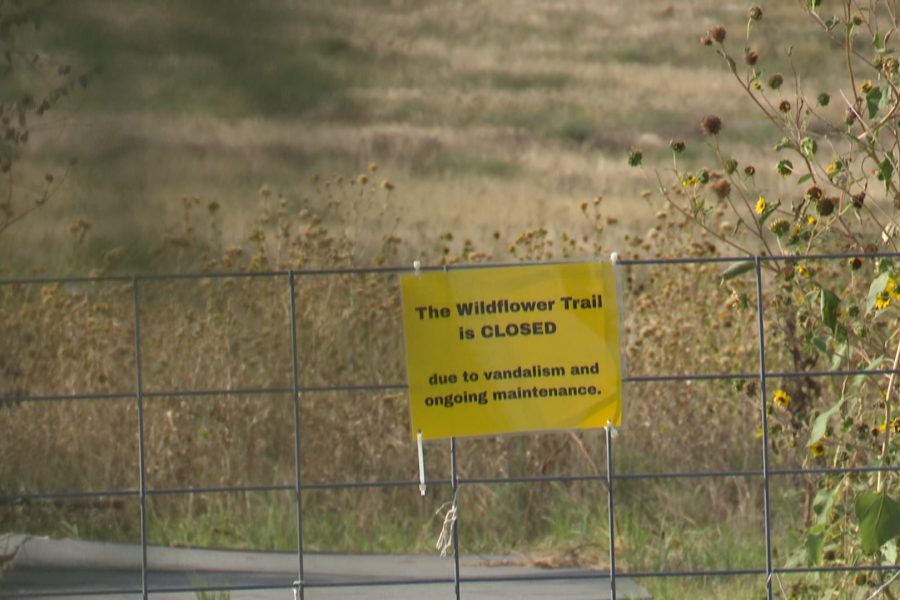 Yellow sign on a metal gate reading “The Wildflower Trail is CLOSED due to vandalism and ongoing maintenance” at Lubbock Lake Landmark, with dried wildflowers and grass in the background.