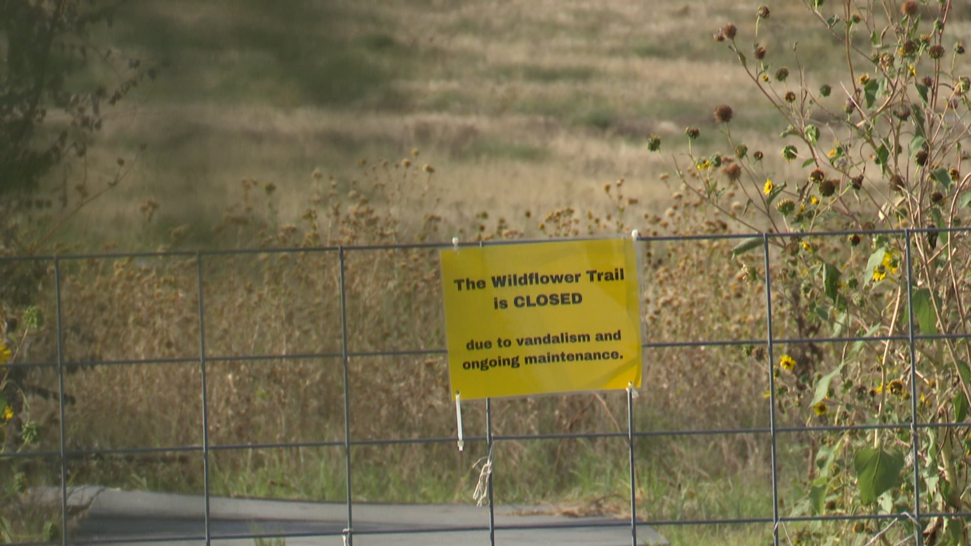 Wheelchair-Accessible Trail Gets the Lubbock Welcome: Tire Tracks and $10,000 in Damage