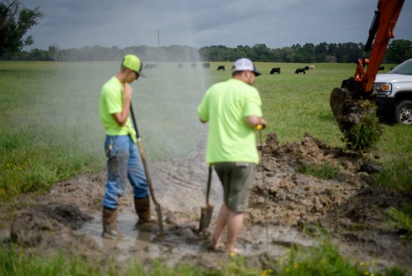 Two workers repair a leaking water line in a muddy rural Texas field as cattle graze in the background.