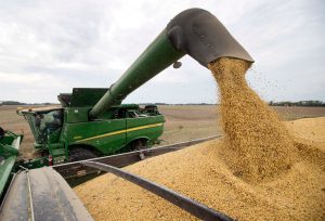 Green combine harvester unloading a massive stream of soybeans into a grain trailer during harvest on a wide West Texas field.