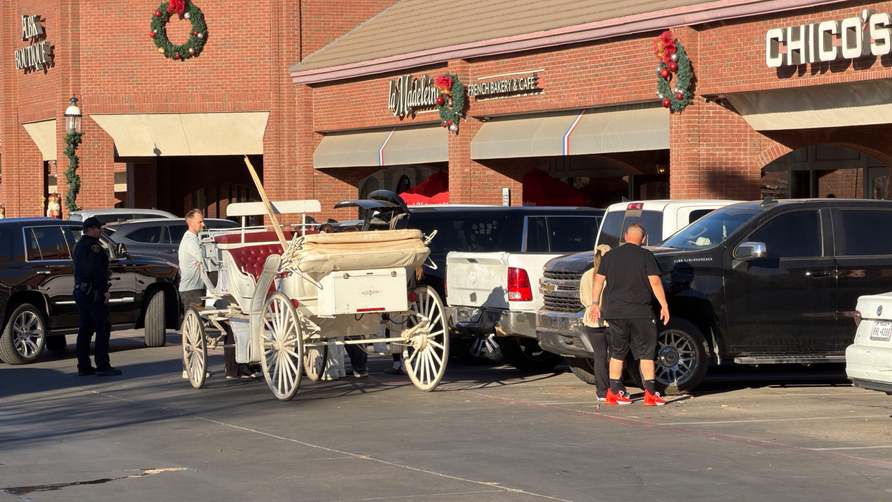 Horse-drawn Christmas carriage involved in a crash with parked vehicles at Kingsgate Center in Lubbock, Texas, as bystanders and police look on.