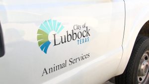 City of Lubbock Animal Services vehicle.