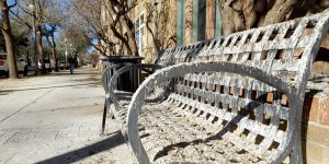 Bird droppings covering a public bench and sidewalk near University Avenue in Lubbock, highlighting an ongoing nuisance from roosting grackles.