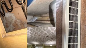 A collage of four images showing severe maintenance issues in a Texas Tech building, including thick white mold growing on wooden structures, water-damaged ceiling tiles with brown staining, and a ventilation grate heavily clogged with dark dust and grime.