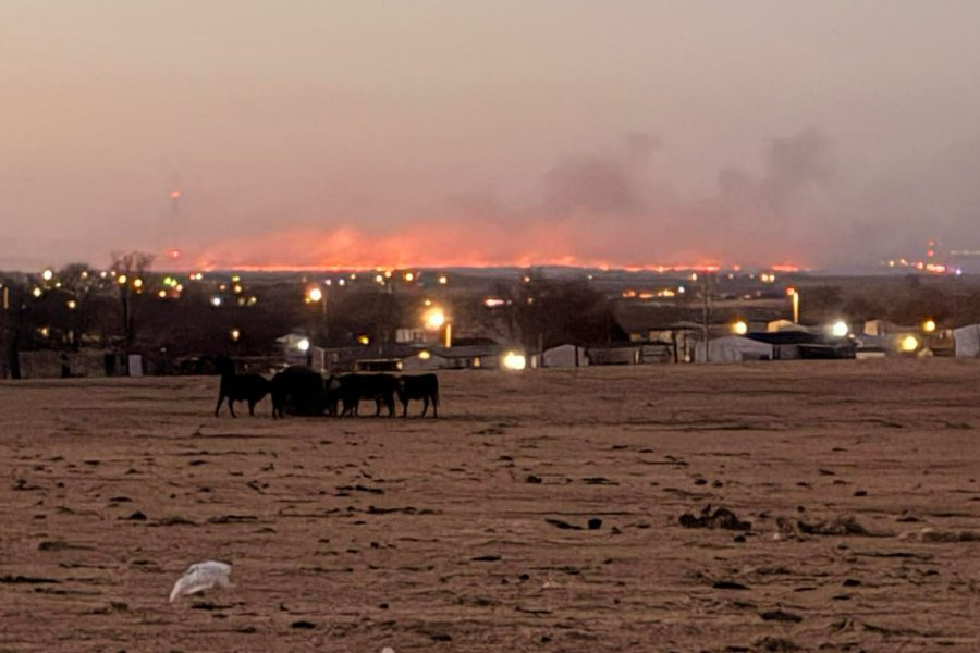 A wide shot of a glowing orange wildfire burning along the horizon at dusk, viewed from a barren field in the foreground where a small herd of cattle grazes near a dimly lit residential area.