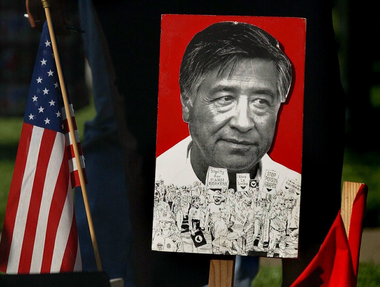 A portrait of Cesar Chavez on a red protest sign featuring sketches of United Farm Workers strikers, standing next to an American flag.