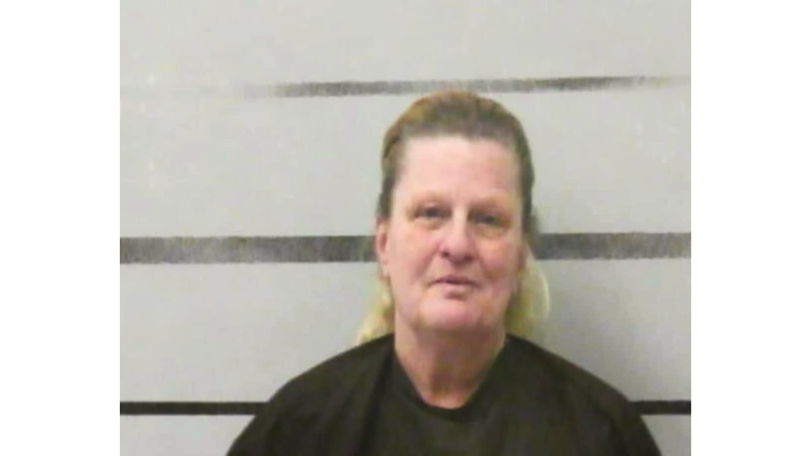 A 2025 Lubbock County Sheriff's Office mugshot of 59-year-old Judy Sanchez, who was remanded to U.S. Marshals for a six-year federal fraud scheme totaling over $227,000. She is pictured with light-colored hair pulled back, wearing a dark shirt against a gray-and-white striped background.