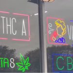 The Gummy Menace: Judge Parrish Finds the One Single Reason We’re All Losing Our Minds