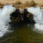 Shallowater: Come for the Small-Town Charm, Stay for the Radioactive Kidney Failure