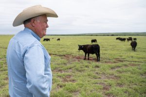 A Texas Panhandle rancher wearing a cowboy hat stands in a wide, grassy pasture looking at a small herd of black cattle under a cloudy sky.
