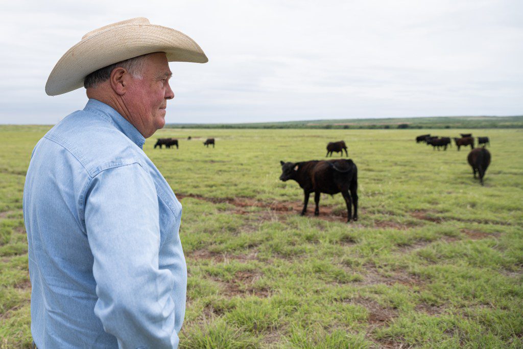 A Texas Panhandle rancher wearing a cowboy hat stands in a wide, grassy pasture looking at a small herd of black cattle under a cloudy sky.